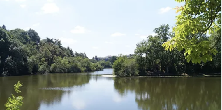 Votre balade en bateau à Angers sur mesure