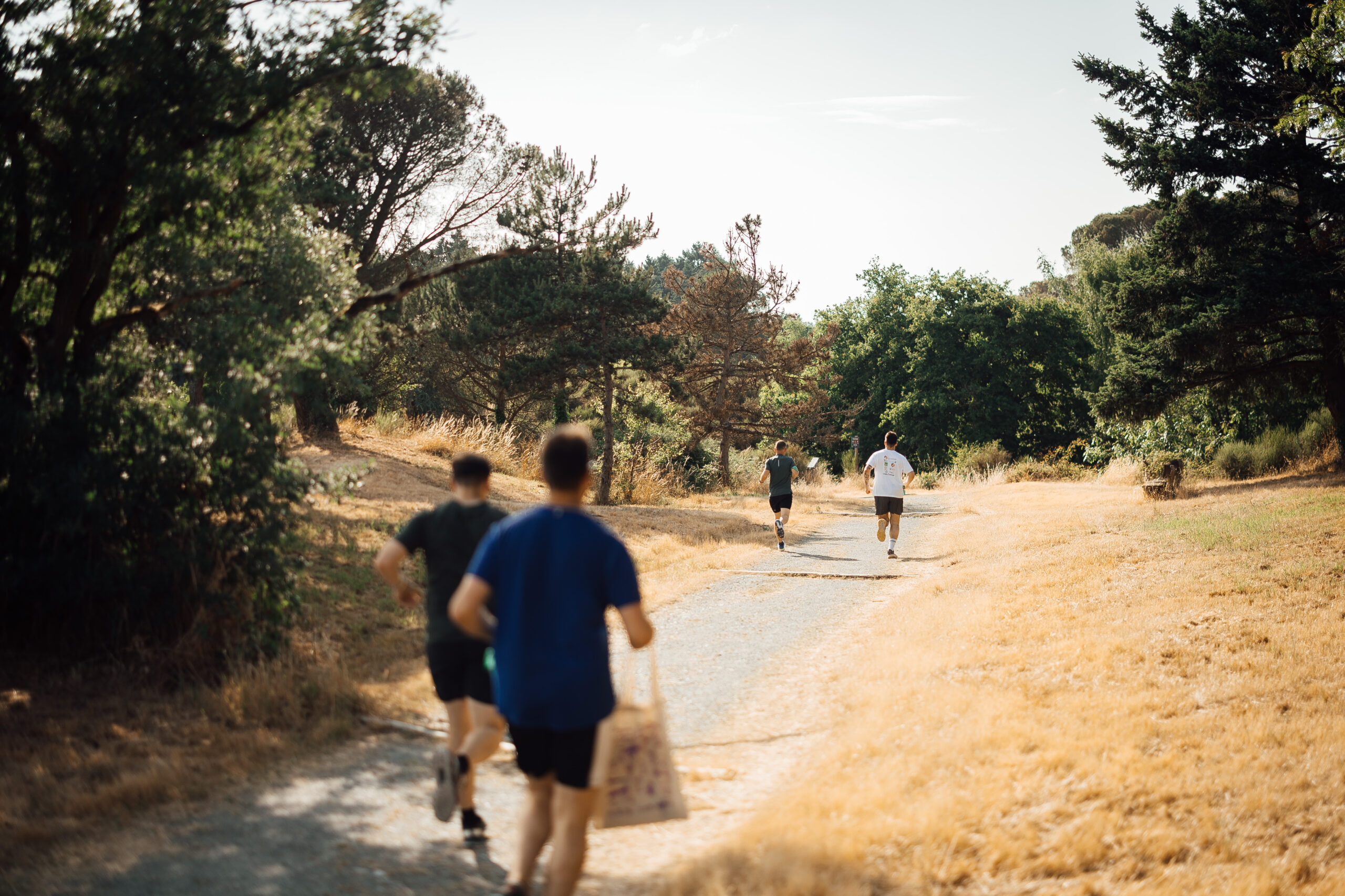 Game of Faune – Image 4